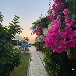 Suna House