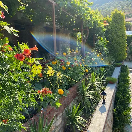Suna House Konukevi Söğüt