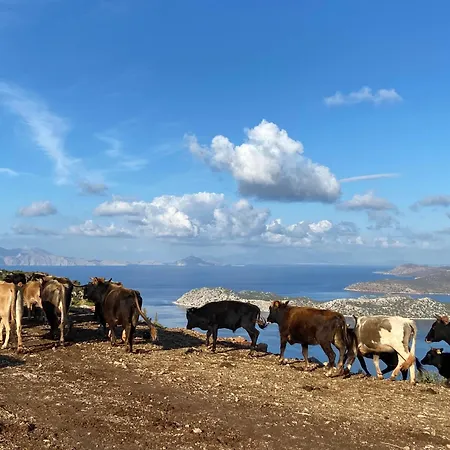 Suna House Casa de hóspedes 4*