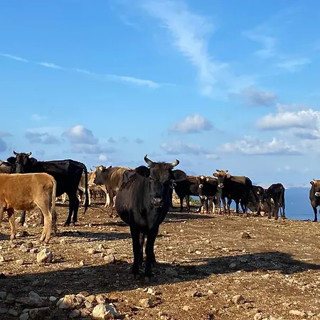 Suna House Casa de hóspedes