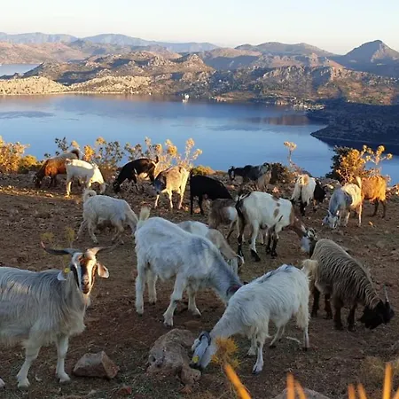 Suna House Casa de hóspedes