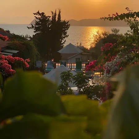 بيت ضيافة Suna House