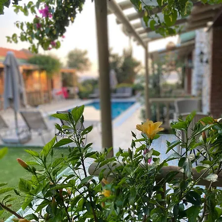 Gæstehus Suna House 4*