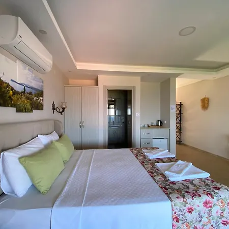 Suna House Gæstehus Sogut (Aegean)