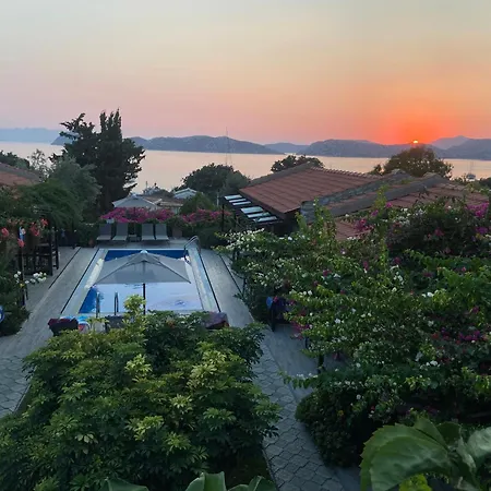 Suna House Guest house *