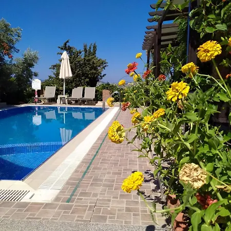 Guest house Suna House *