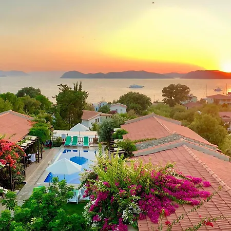 Suna House *