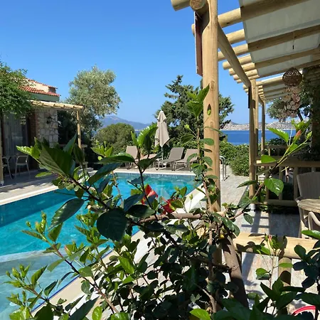 Suna House