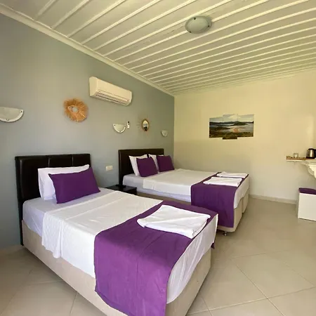 Suna House Pensión *