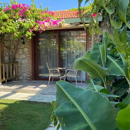 Suna House سوغوت