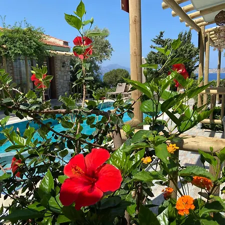 Suna House 4* Sogut (Aegean)