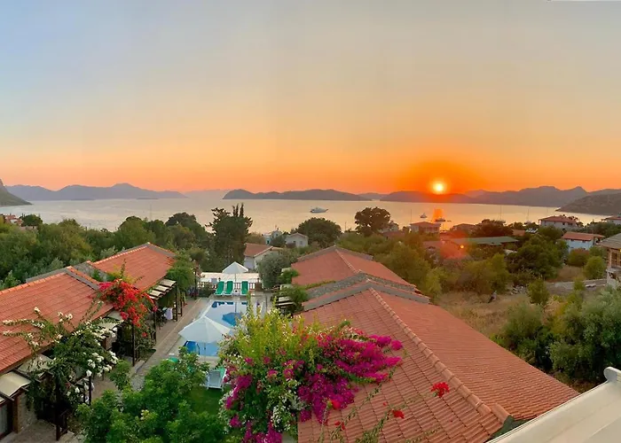 Suna House Guest house 4*
