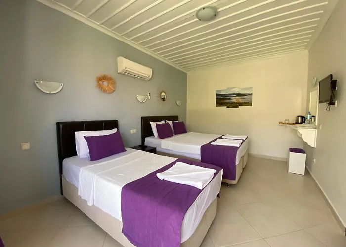 Suna House Guest house 4*